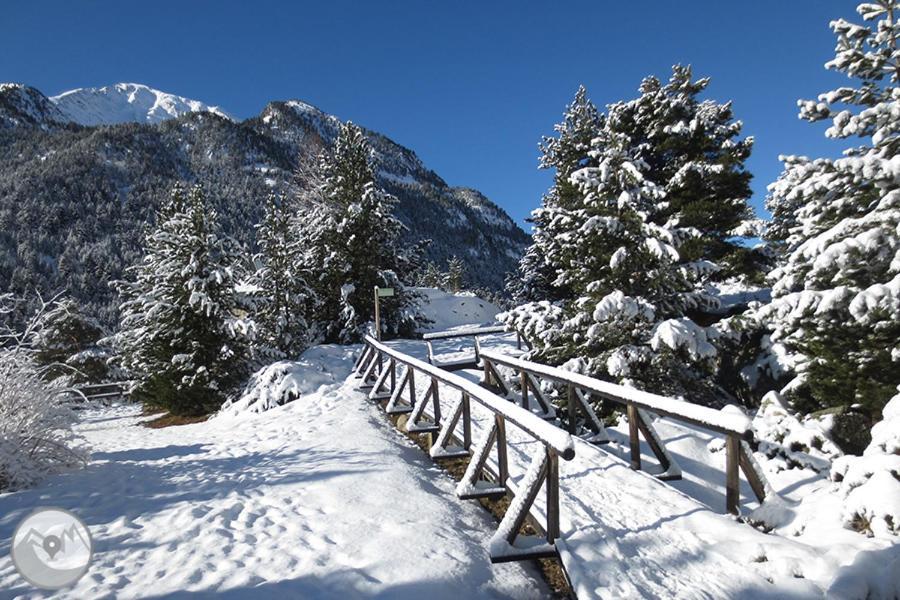 Un Rincon Especial En Vall De Boi Pla de l'Ermita Exterior foto